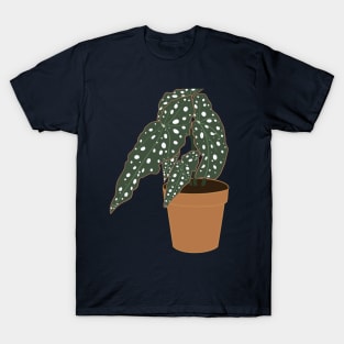 Begonia Maculata Plant – Clay Pot T-Shirt